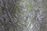 Harlyn fibreglass roof work